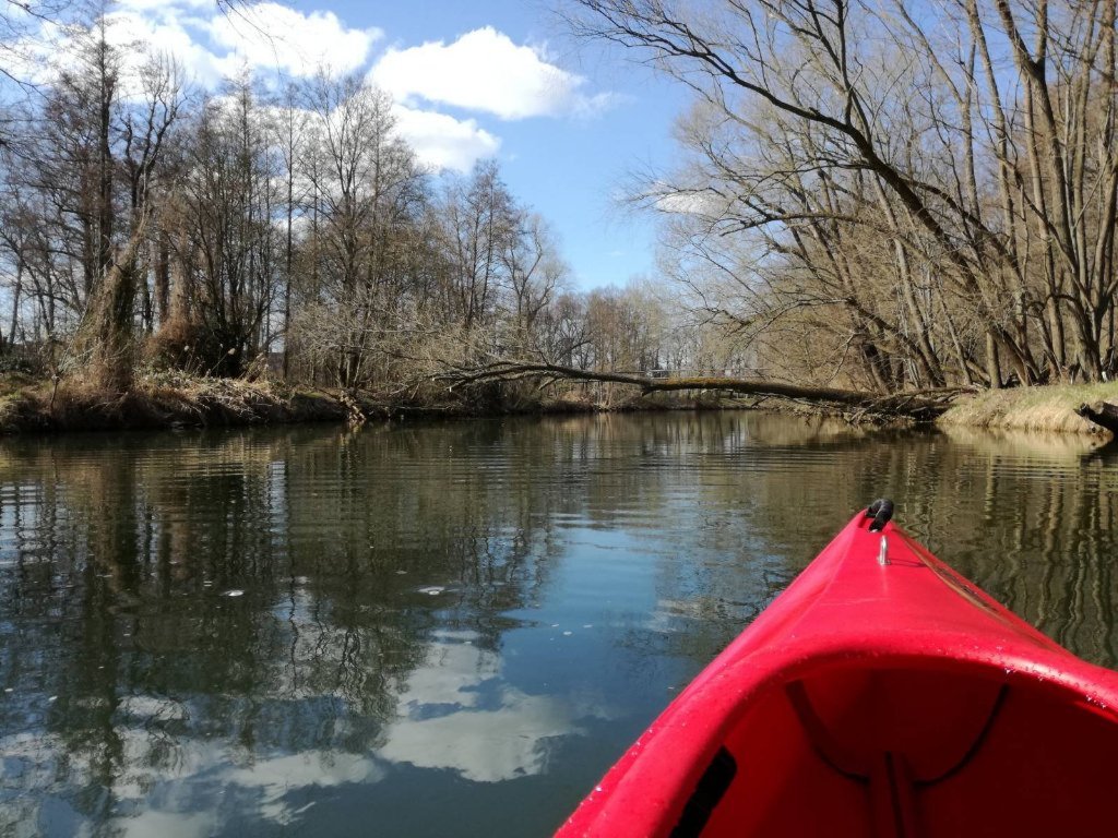 Habitación en WG Spremberger Vorstadt Parzellenstraße 79 - Aktivität auf der Spree