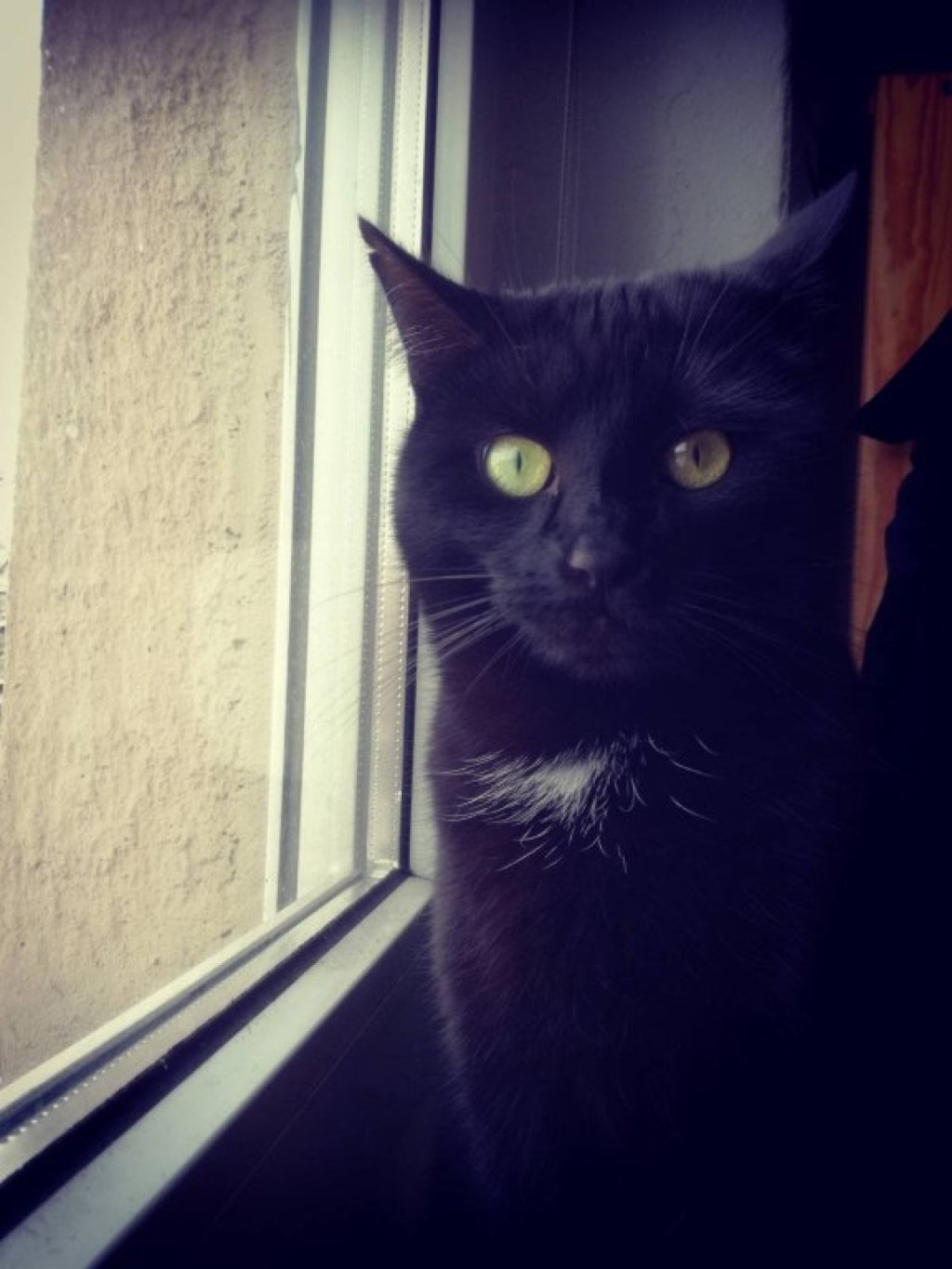 Habitación en WG Spremberger Vorstadt Parzellenstraße 79 - sweet