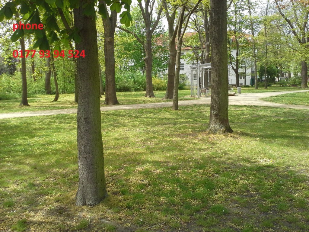 04420 Leipzig Westend apartment 莱 比 锡 西 – Hordisstr. Innenhof, 4420 Leipzig Zentrum-West – Vorschaubild 14