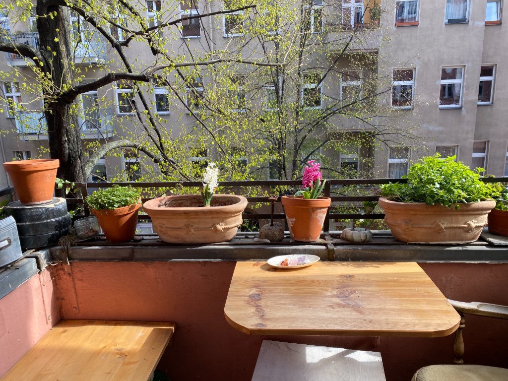 Wohnung Neukölln Weserstr. 61 - Bild 4