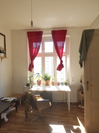 Anzeigenbild: Sonniges Suedzimmer in der Stadtmitte / Sunny, south-facing room in a WG in the city center