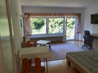 Anzeigenbild: Möblierte 1 Zimmerwohnung (Nr.4)