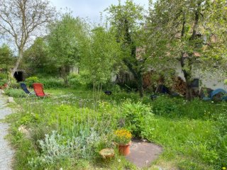 Anzeigenbild: 1 Zimmer in WG mit Garten