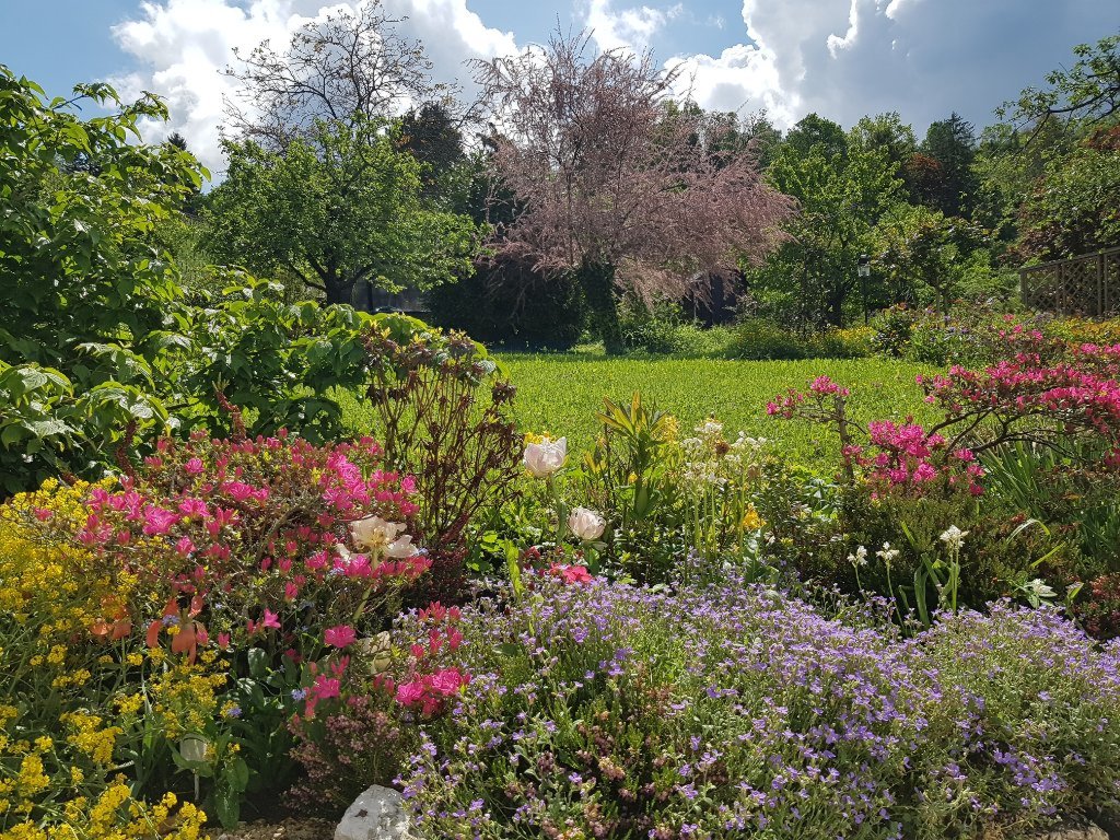 Habitación en WG Obertürkheim Asangstrasse - Sommer im Garten