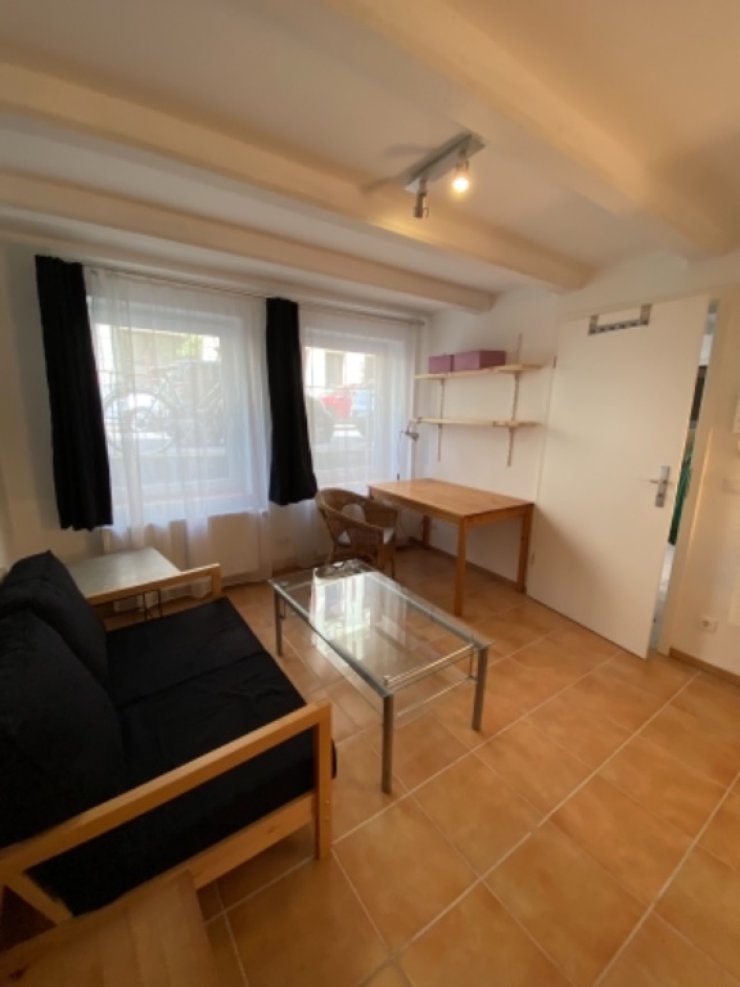 Ruhige, kleine Wohnung mit Garten 1ZimmerWohnung in HamburgAltona