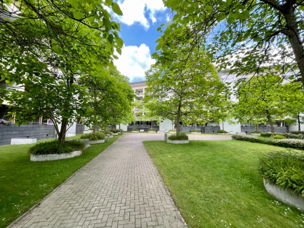 Helles Apartment/Wohnung, 1,5 - 2 ZKB in Münster mit Loggia und Tiefgaragenplatz – 48161 Münster Gievenbeck – Vorschaubild 20