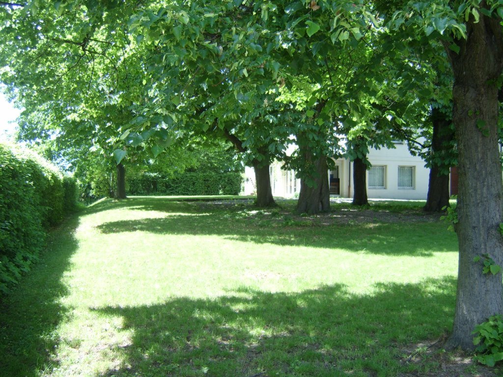 WG-Zimmer Hohenheim Filderhauptstraße 159 - Garten