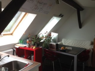 Ad image: 2-Zimmer Apartement, Küche, Bad