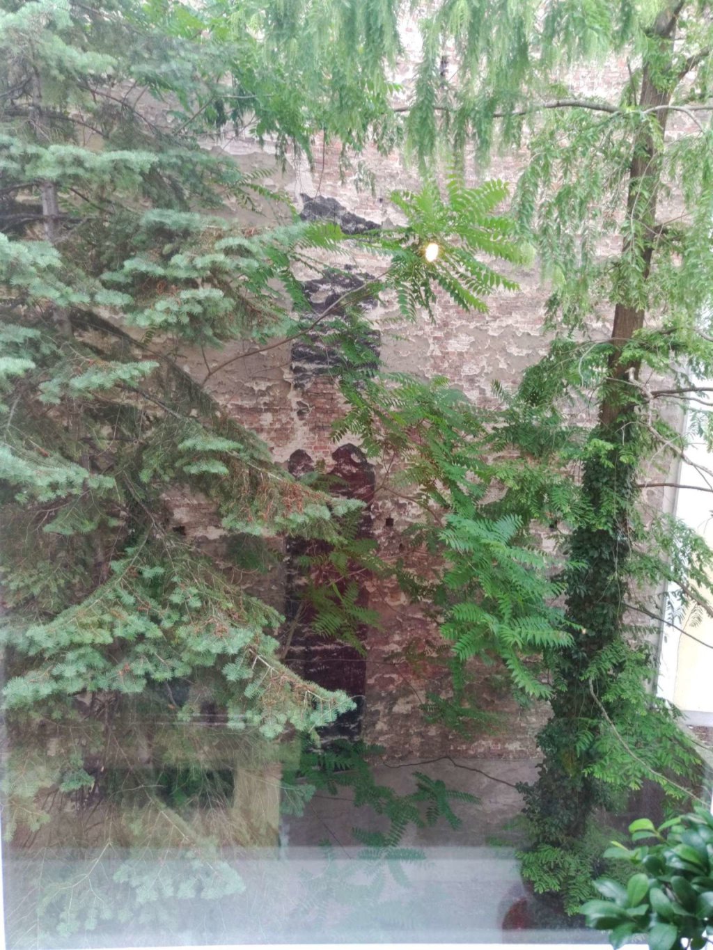 1-Zimmer-Wohnung Charlottenburg Kaiser-Friedrich-Straße 54 - Bild 12