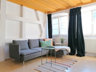 Anzeigenbild: Möblierte 2-Zi.-Wohnung im IKEA-Stil in der City