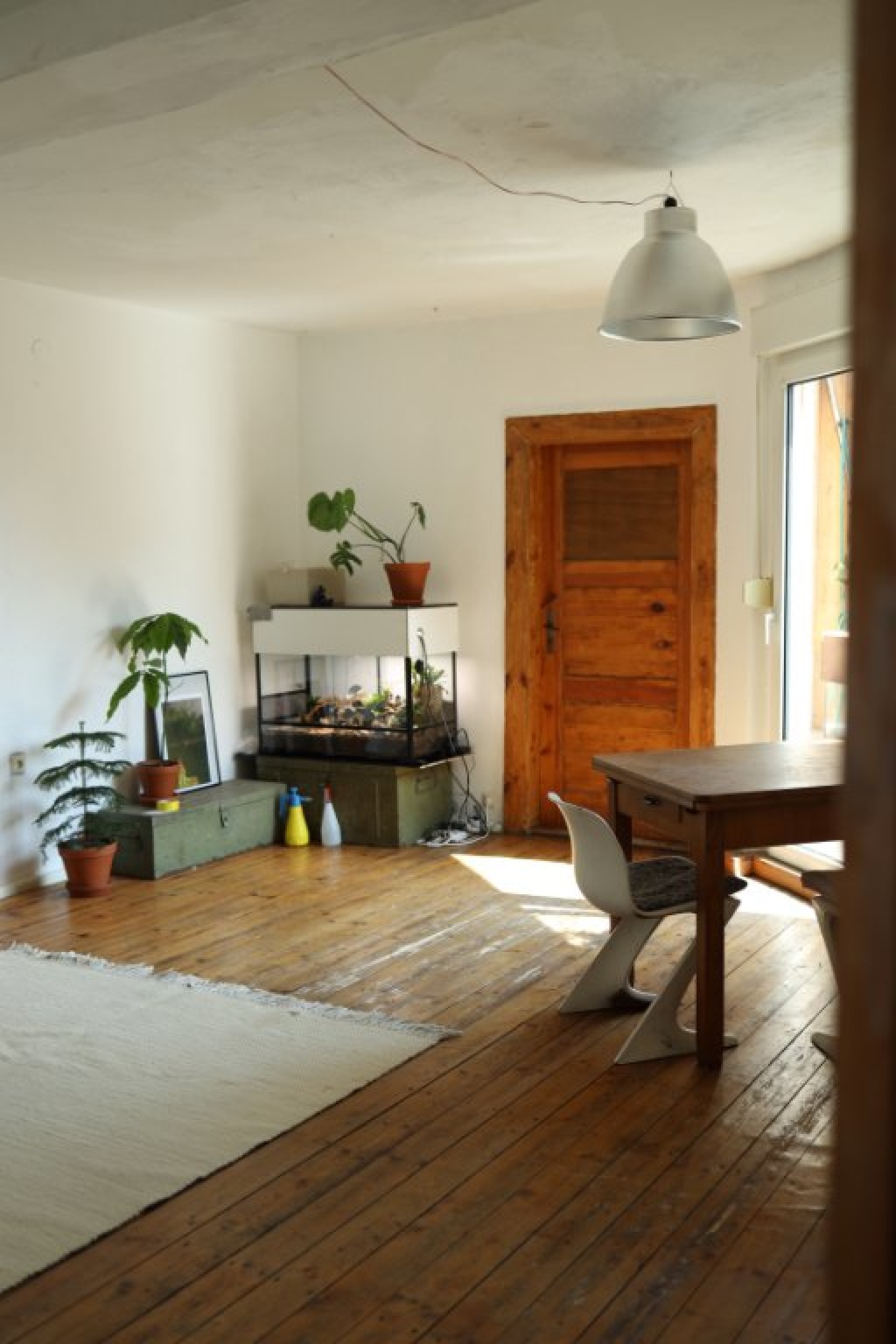 Flatshare Halle (Saale) Laurentiusstraße - Wohnzimmer