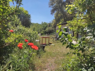 Anzeigenbild: Menschen, Haus und Garten in der Breitscheid Straße
