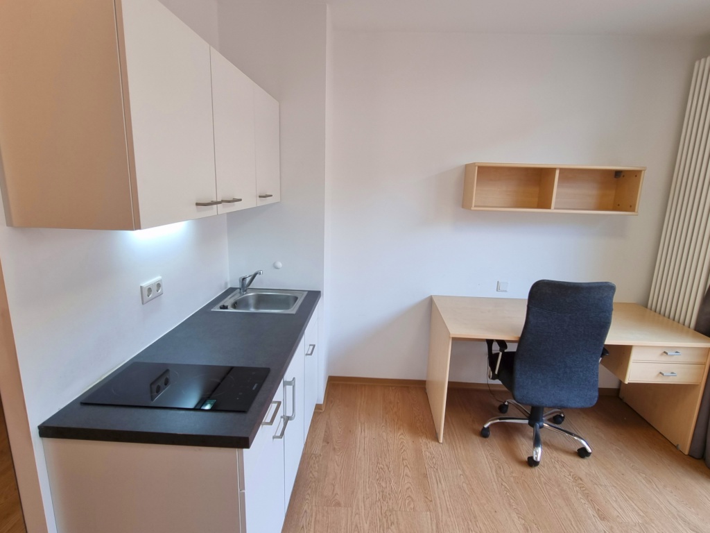 Möbliertes 1-Zimmer Apartment in Erlanger Innenstadt – Östliche Stadtmauerstr. 32, 91054 Erlangen Innenstadt – Vorschaubild 2