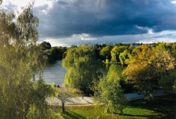 Anzeigenbild