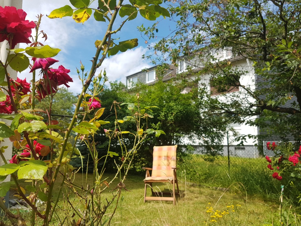 Comfortably fully equipped apartment for nature lovers in the city #all inclusive #30m to the dam of the Rhine #nature in the big city of Bonn #central, easy to reach (many pictures) – Im Gensem, 53225 Bonn Beuel – Vorschaubild 13