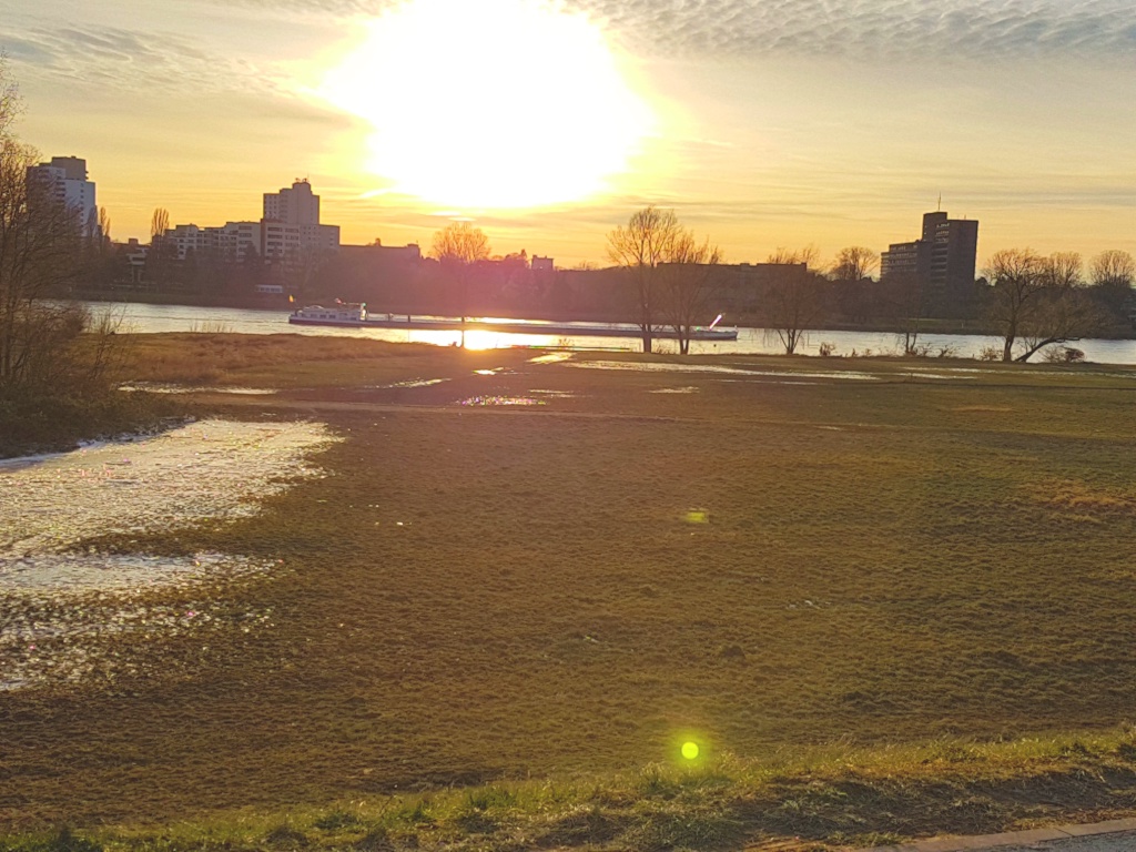 Gemütlich eingerichtete Wohnung für Naturliebhabende in der Stadt #alles inklusive #30m zum Rhein-Damm #Natur in der Bonner Großstadt #renovierter Bezug #zentral, gut erreichbar (viele Bilder) – Im Gensem, 53225 Bonn Beuel – Vorschaubild 16