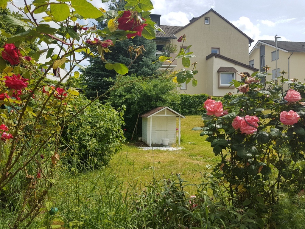 Comfortably fully equipped apartment for nature lovers in the city #all inclusive #30m to the dam of the Rhine #nature in the big city of Bonn #central, easy to reach (many pictures) – Im Gensem, 53225 Bonn Beuel – Vorschaubild 2