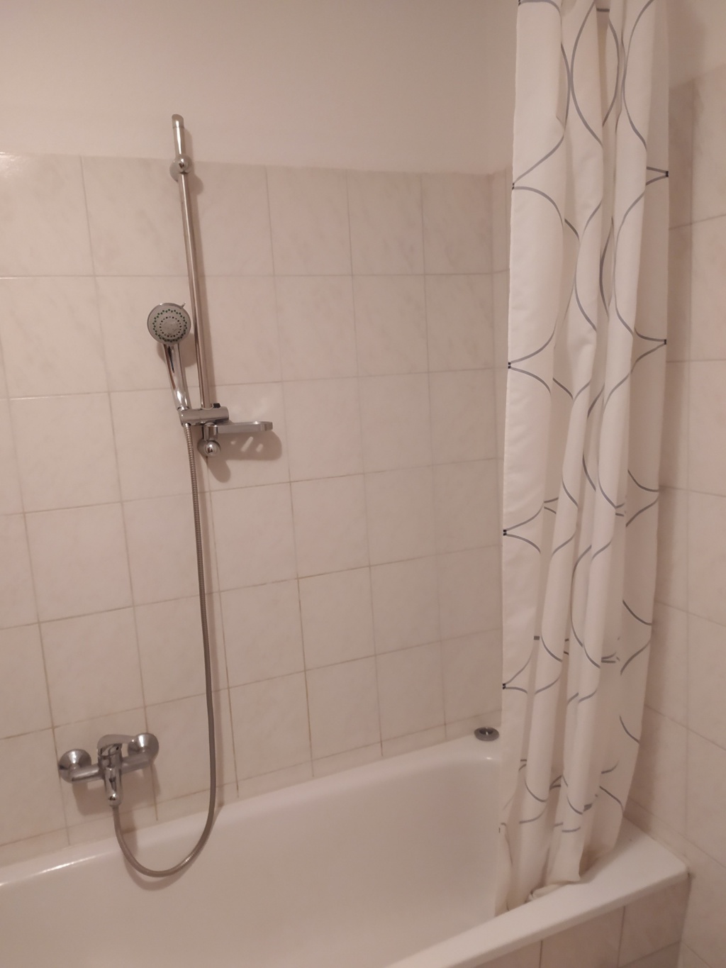 WG-Zimmer Altchemnitz Paul Gruner Straße 104 - Bad 1 (Dusche)