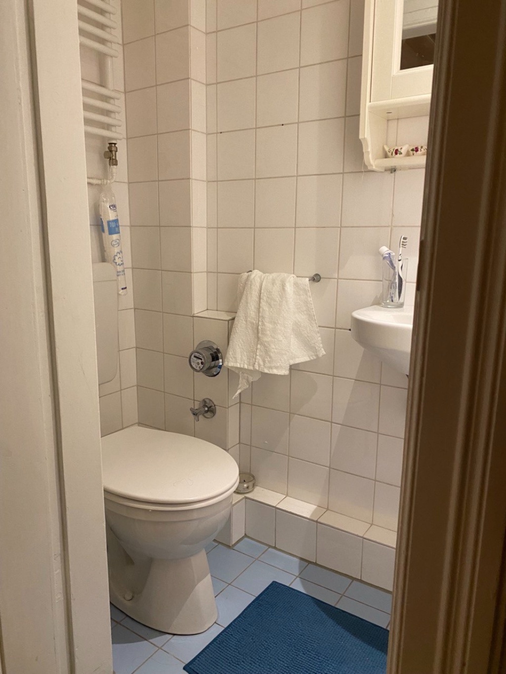 Zwischenmiete Eppendorf: schöne gemütliche 2-Zimmer Wohnung – Lokstedter Weg, 20251 Hamburg Eppendorf – Vorschaubild 11