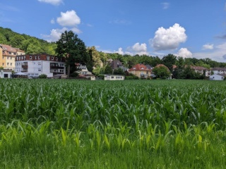 Anzeigenbild: Familiäre WG mit Wohnzimmer und Blick ins Grüne