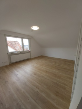 Anzeigenbild: Erstbezug: renovierte, hochwertige 1-Zimmer-Wohnung mit EBK
