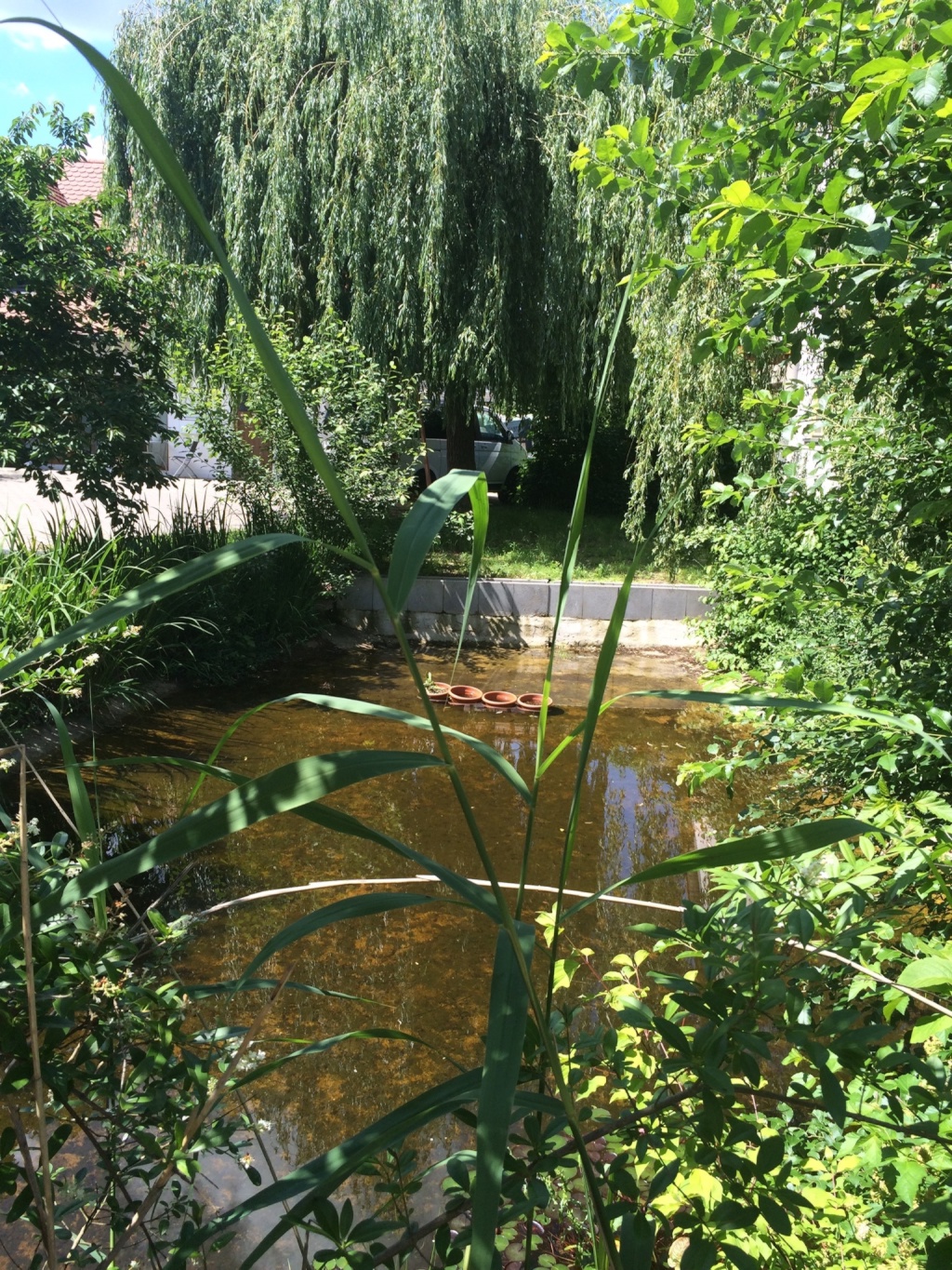 35qm- Ferienwohnung für 1 oder 2 Personen, kpl. 590 oder 690€ 35qm- Apartment for 1 or 2 Persons, kpl. 590 or 690€ – Rosenbach 6B, 91077 Erlangen Nähe Uttenreuth – Vorschaubild 5