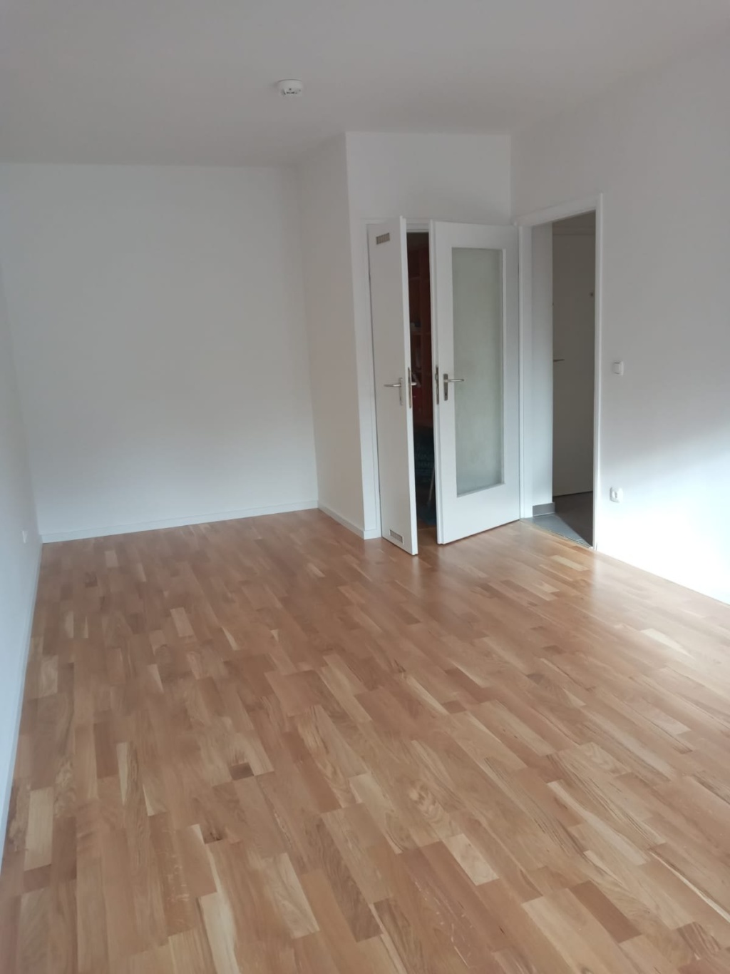 1-Zimmer-Wohnung St Johannis Leuchsstr. 5 - Zimmer