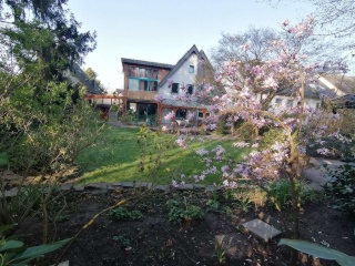 Anzeigenbild: Traumzimmer in HausWG mit Garten - befristet, auf Wunsch teilmöbliert