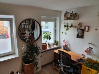 Anzeigenbild: Erdgeschosszimmer in 5er Wg zur Zwischenmiete