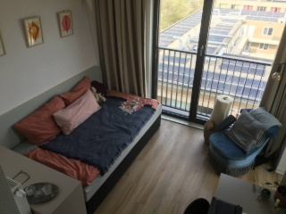 Anzeigenbild: Beschauliches Studio Apartment im FIZZ (Juli 22 bis Februar 23)