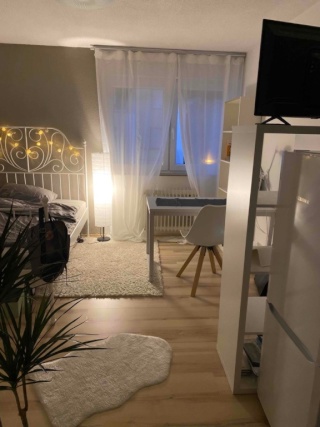 Anzeigenbild: Zentral gelegene 1-Zimmer Wohnung