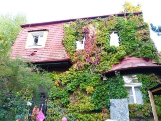 Shared-house room, 20 m², Hietzing (1130), Hietzing