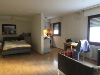 Anzeigenbild: 1-Zimmer-Wohnnung in Au, im Süden von Freiburg