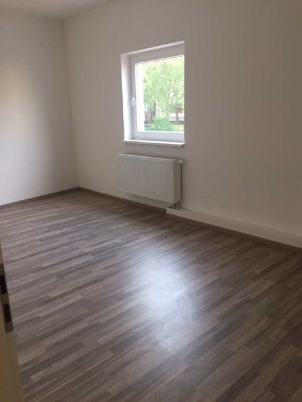 WG-Zimmer Lankwitz Leonorenstraße 99 - Bild 1