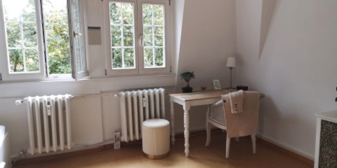 Anzeigenbild: zentrale 1-Zimmer Altbauwohnung an Doktoranden oder Berufstätige