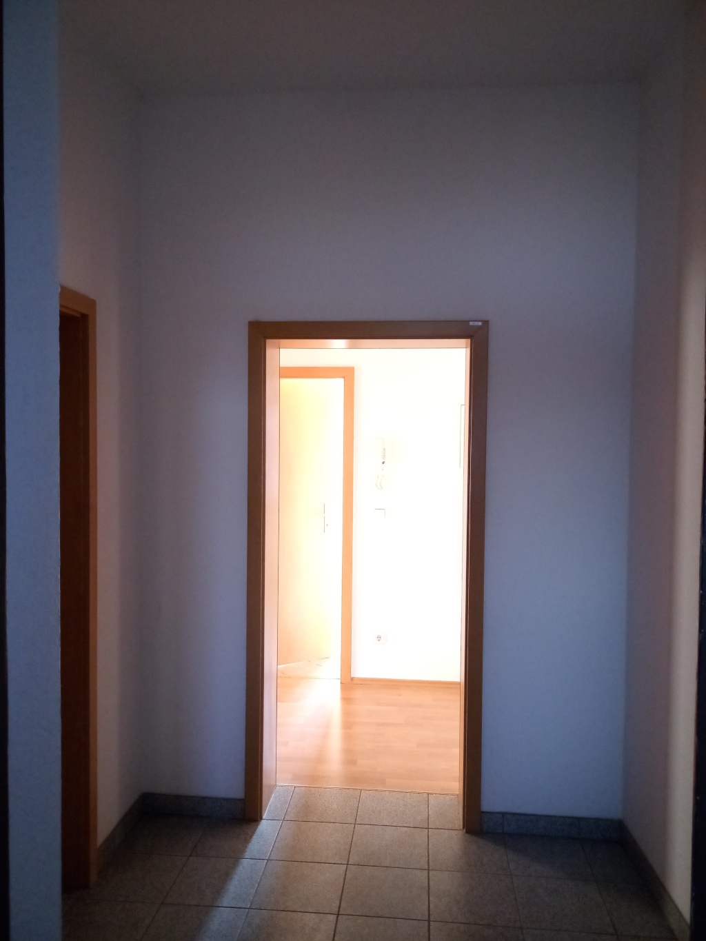 Wohnung Kaßberg Franz-Mehring-Straße 44 - Vorflur