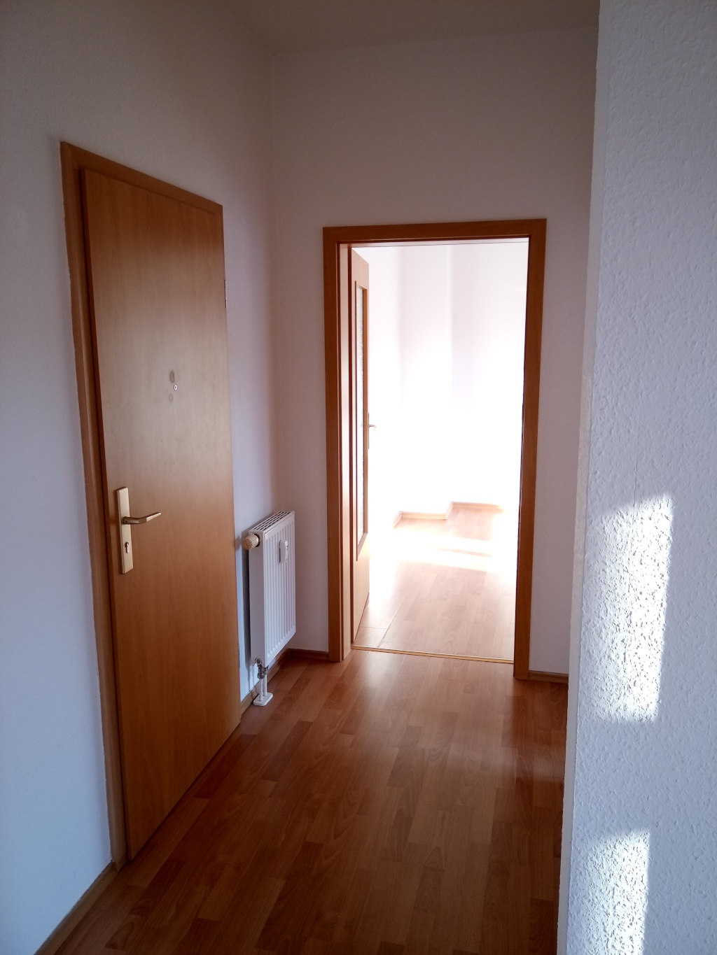 Wohnung Kaßberg Franz-Mehring-Straße 44 - Flur mit Blick zum Wohnzimmer