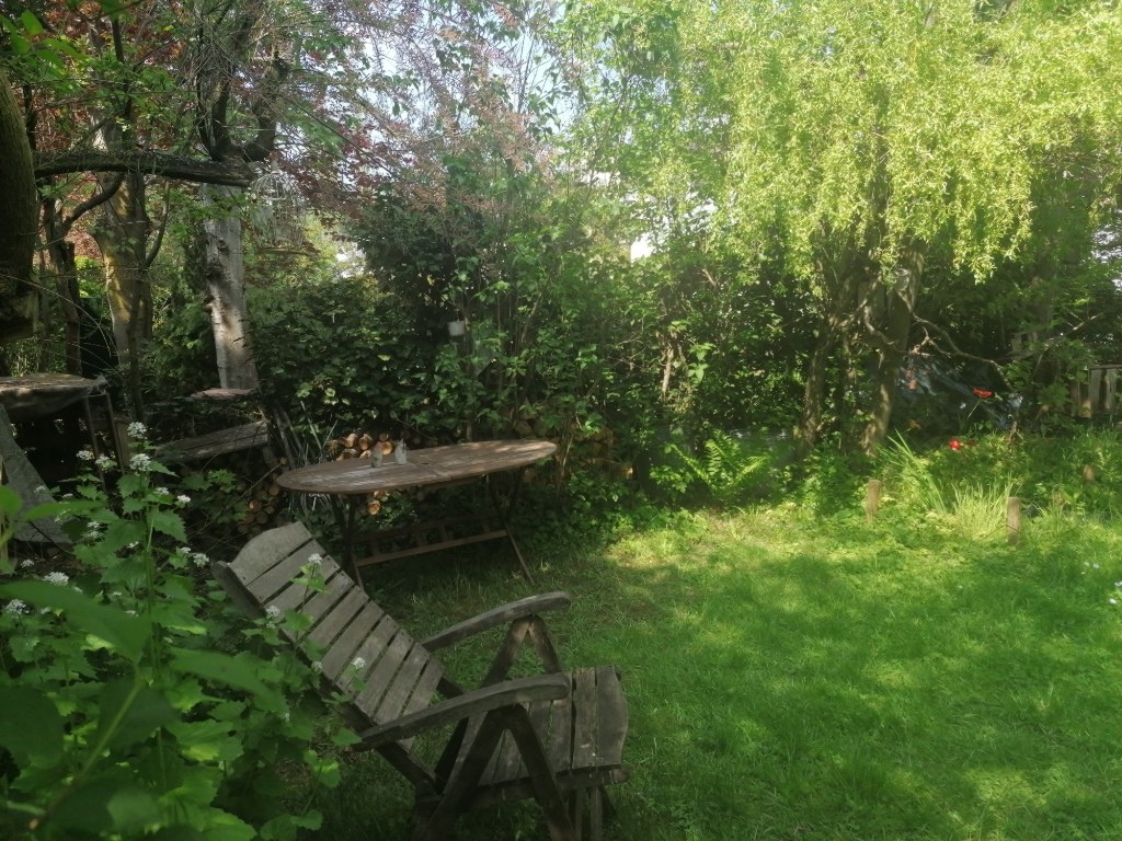 Wohnung Dornbusch Nähe Dornbusch, Sinai Park - Bild 3