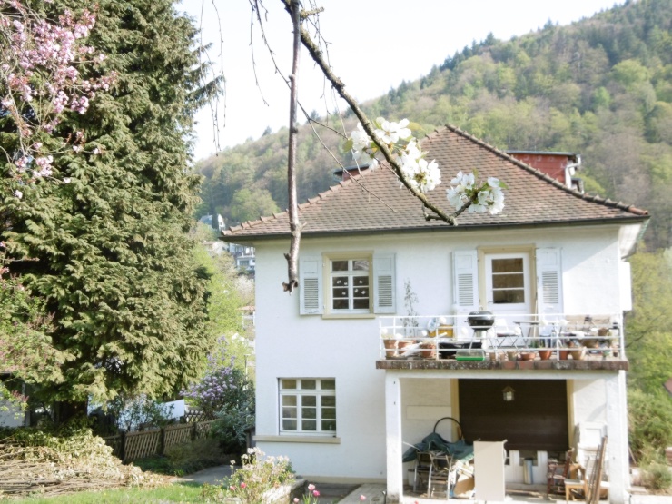Großes Zimmer und großer Garten