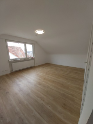 Anzeigenbild: Renovierte, hochwertige 1-Zimmer-Wohnung mit EBK