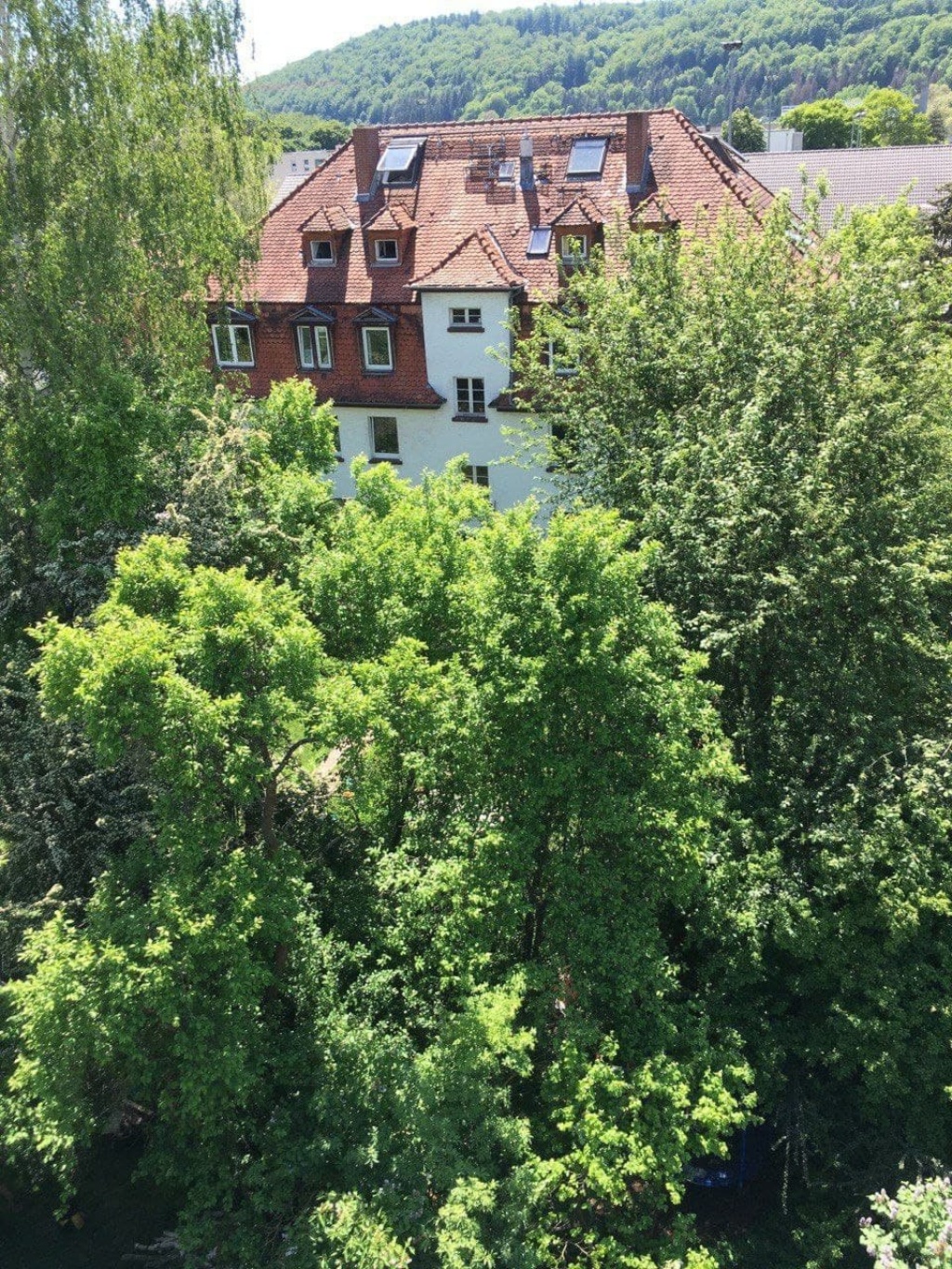 WG-Zimmer Südviertel Teichwiesenweg - Unser Haus von Oben im Südviertel Marburgs
