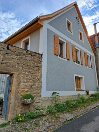 Ad image: Kater sucht Gesellschaft