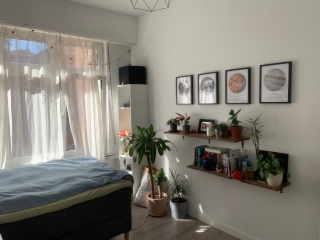 Ad image: Wg room in beautiful 4 Wg from 01.09 .