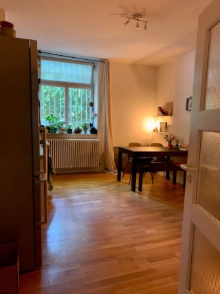 Ad image: FÜR STUDENTEN: 1 Zimmerappartment in Oststadt-Villa