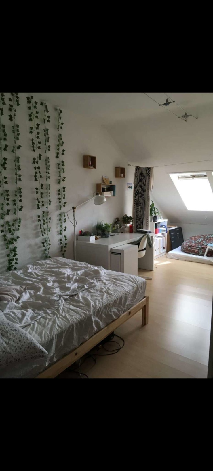 Tolles Zimmer in 3er WG direkt am Kanal - Zimmer in Bayreuth-City