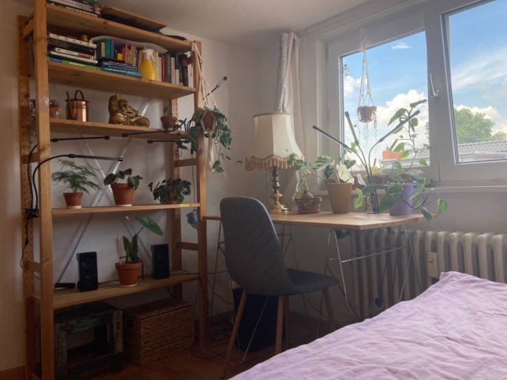 cosy room in an amazing shared flat Zimmer möbliert BremenNeustadt