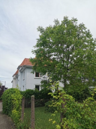 Anzeigenbild: Möblierte Wohnung, ruhig und zentrumsnah mit Blick ins Grüne