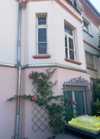 Ad image: Schönes, helles  WG-Zimmer in HD-Rohrbach zu vermieten