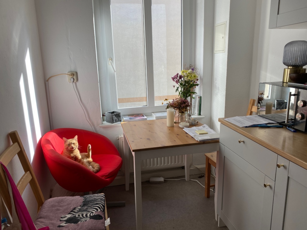 Flat Mitte Borsigstraße - picture 5