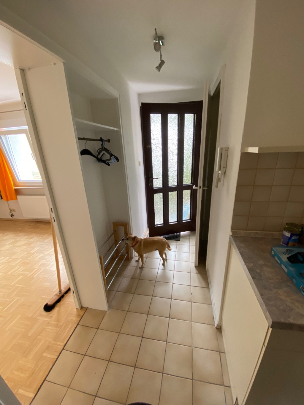 Kleines Apartment – Hirtenstrasse, 65193 Wiesbaden Sonnenberg – Vorschaubild 5